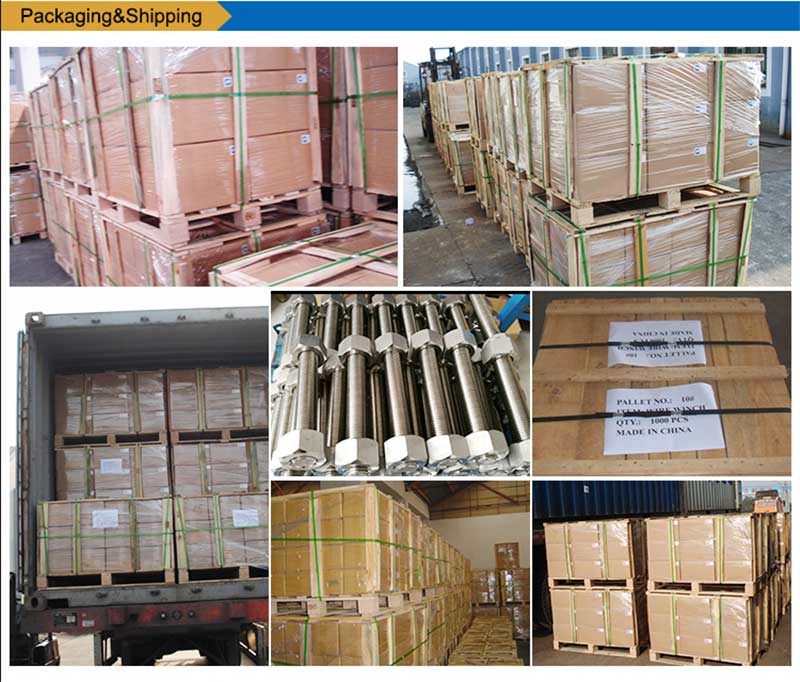 스테인레스 스틸-리스트 볼트-스크류-패스너-포장