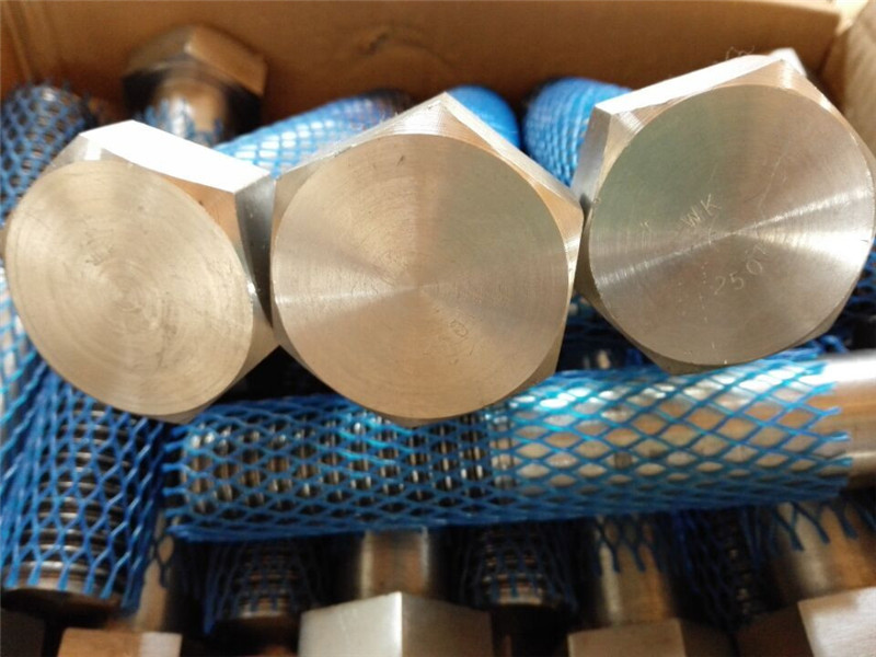 큰 공급 기계적인 잠 그개 높은 srenght 무거운 육 놀이쇠 및 견과